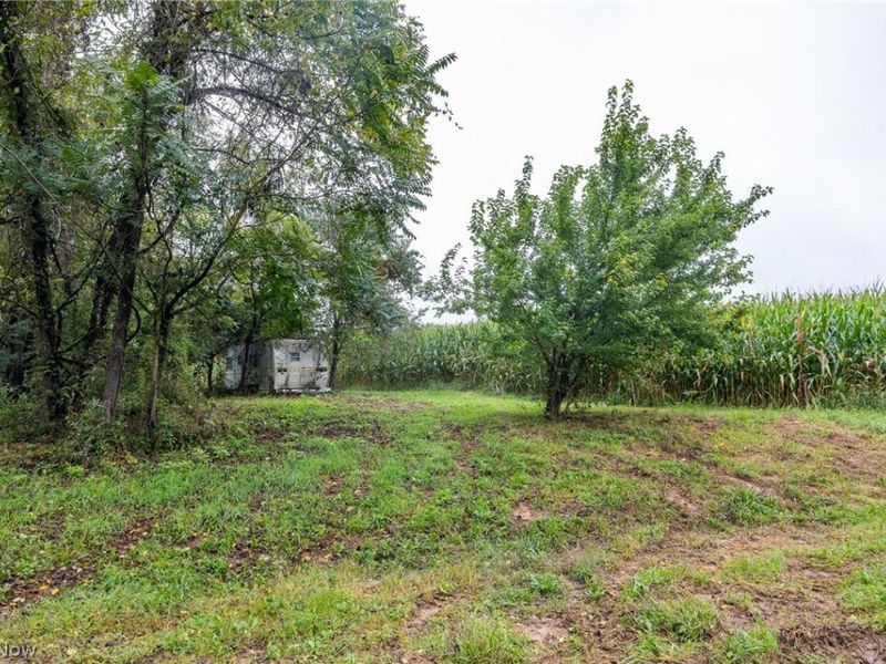 White Eyes Road, New Concord, OH 43762 Photo 35