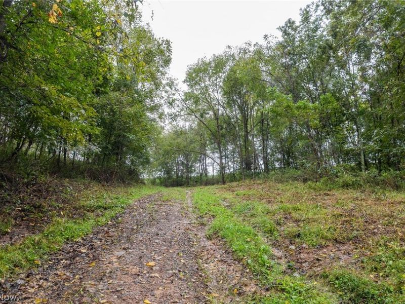 White Eyes Road, New Concord, OH 43762 Photo 36