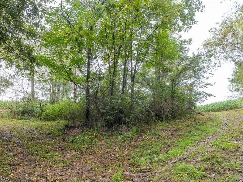 White Eyes Road, New Concord, OH 43762 Photo 37
