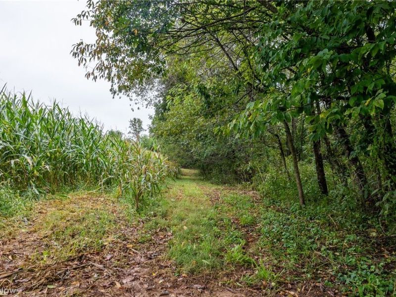 White Eyes Road, New Concord, OH 43762 Photo 38