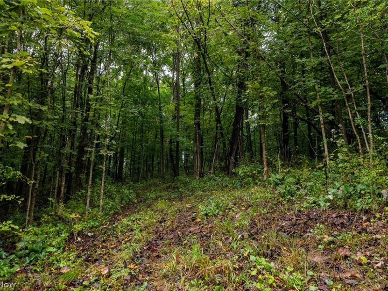 White Eyes Road, New Concord, OH 43762 Photo 39
