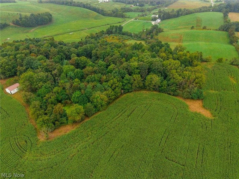 White Eyes Road, New Concord, OH 43762 Photo 4
