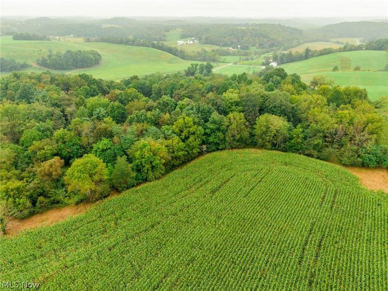 White Eyes Road, New Concord, OH 43762 Photo 40