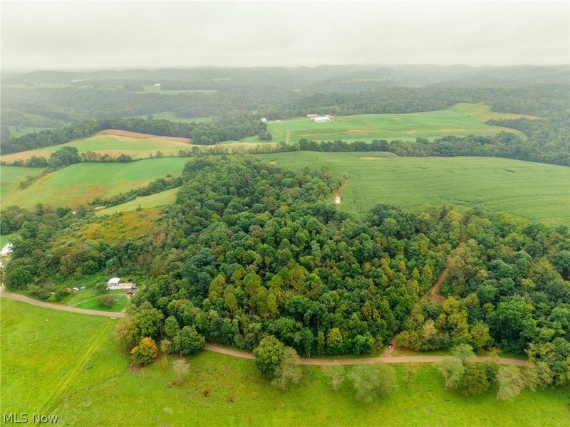 White Eyes Road, New Concord, OH 43762 Photo 47
