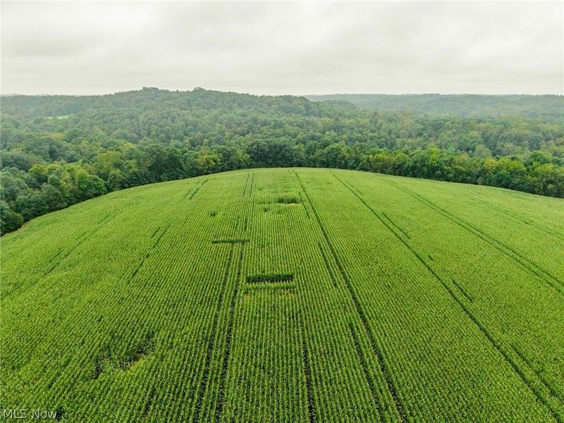 White Eyes Road, New Concord, OH 43762 Photo 6