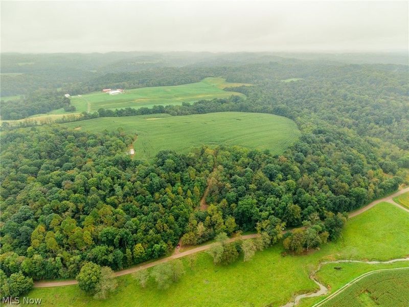 White Eyes Road, New Concord, OH 43762 Photo 7