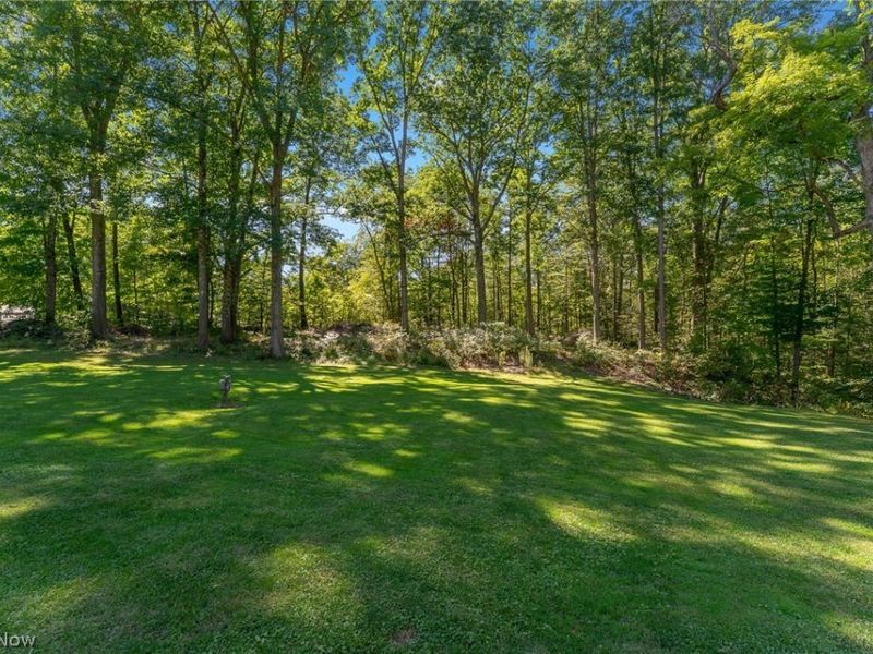 4105 Smith Stewart Road, Vienna, OH 44473 Photo 17