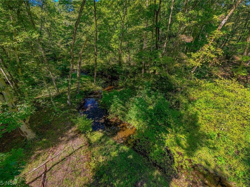 4105 Smith Stewart Road, Vienna, OH 44473 Photo 20