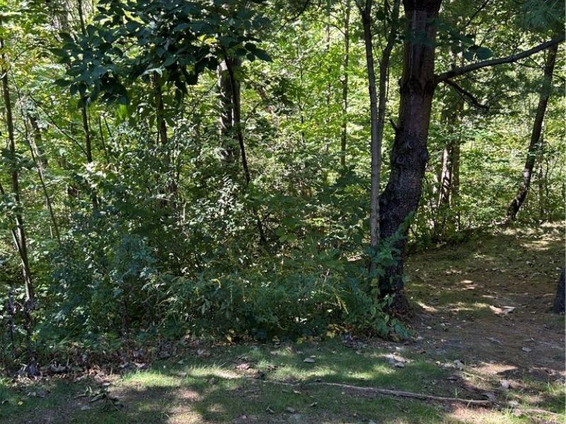 1265 River Run Drive, Macedonia, OH 44056 Photo 40