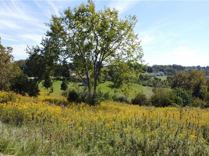 1749 US 250, Adena, OH 43901 Photo 4