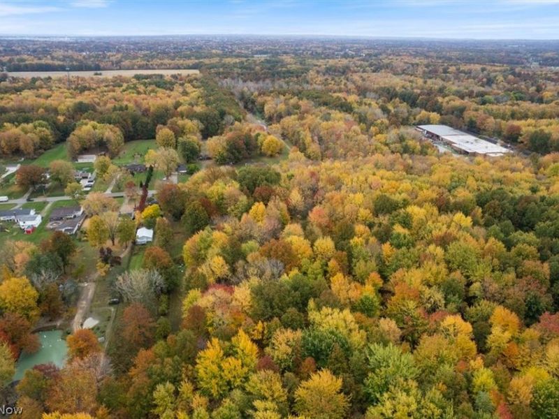 V/L Bronson Road, Olmsted Township, OH 44138 Photo 10