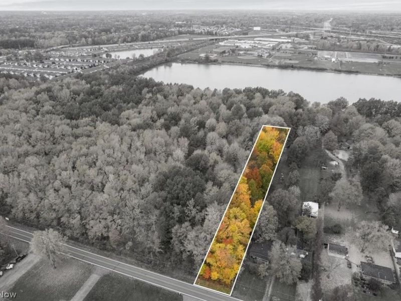 V/L Bronson Road, Olmsted Township, OH 44138 Photo 3