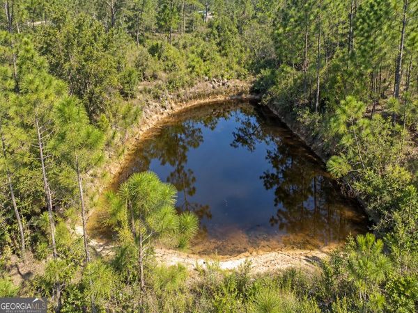 82 ACRES Fargo Highway, Homerville, GA 31634
