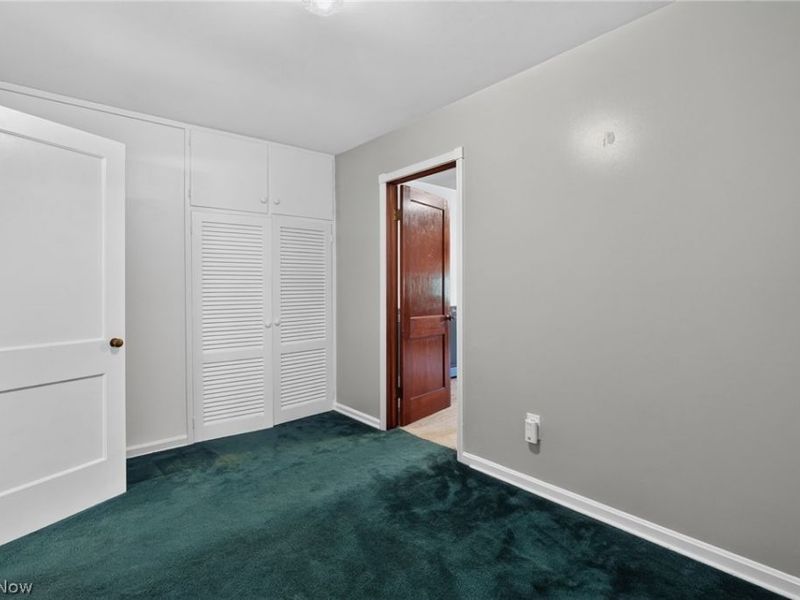 315 Morrison Street, Geneva, OH 44041 Photo 21