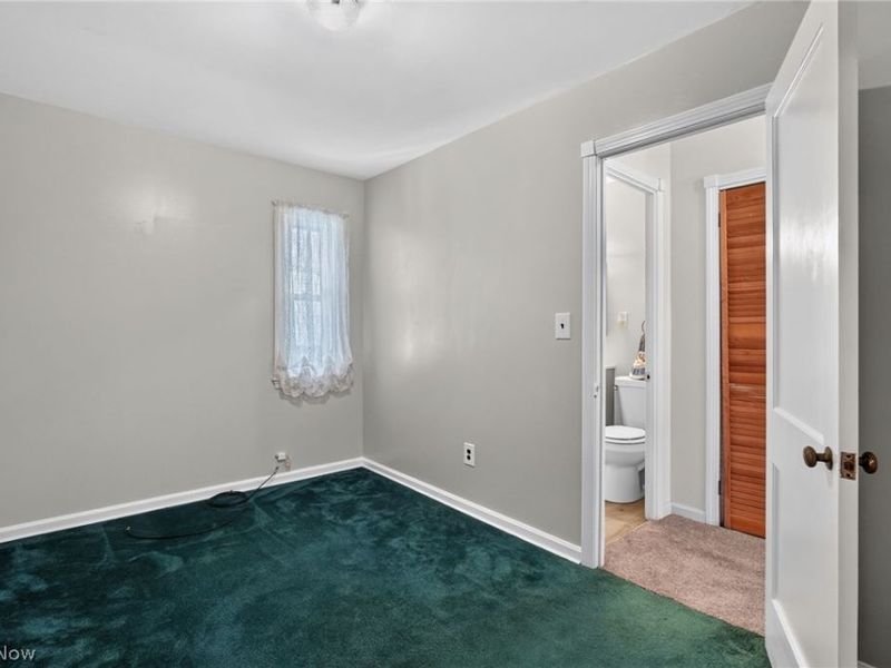 315 Morrison Street, Geneva, OH 44041 Photo 22