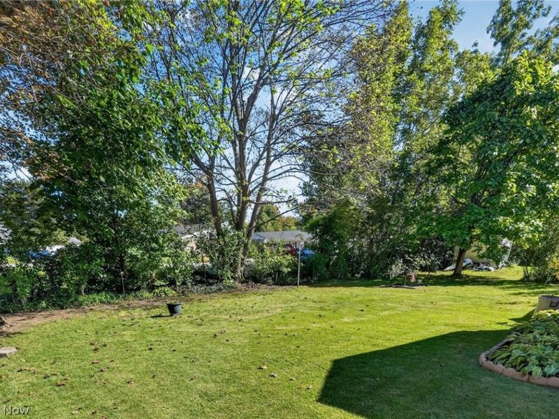 315 Morrison Street, Geneva, OH 44041 Photo 30