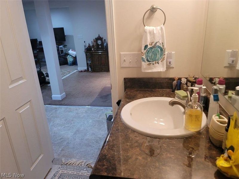 3343 Gated Court, Avon, OH 44011 Photo 49