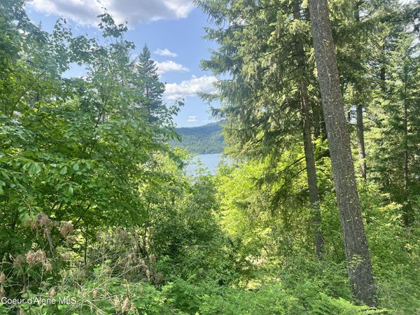 00NKA Lakeview Dr. , Harrison, ID 83833
