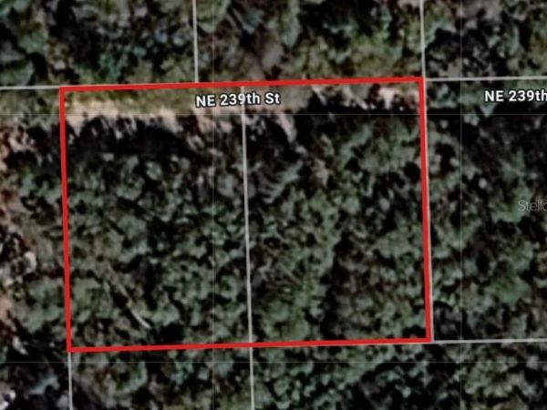 Lot 18 & 19 NE 239TH STREET , FORT MC COY, FL 32134