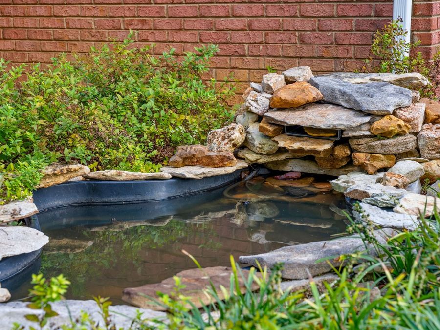 Property Image 61