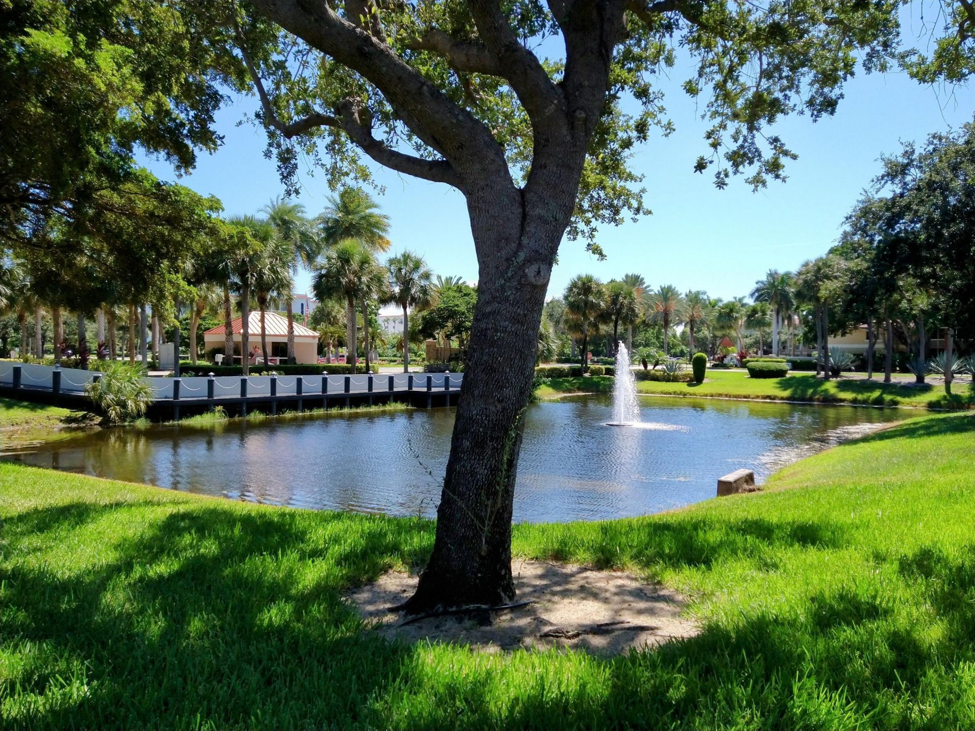5650 Camino Del Sol, Unit 101, Boca Raton, FL 33433 Photo