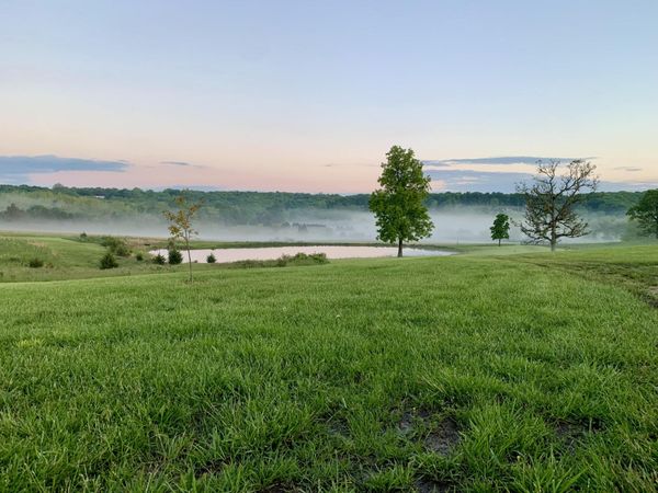 12 Fineview Lane , Long Lane, MO 65590