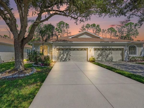 34825 DOUBLE EAGLE COURT , ZEPHYRHILLS, FL 33541