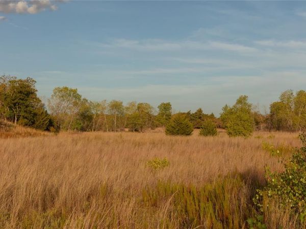 000 2190 Road, Headrick, OK 73549
