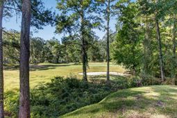 207 Golfview Lane photo 4