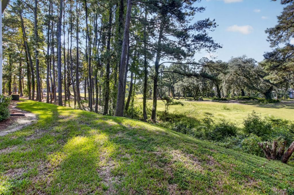 207 Golfview Lane Photo 29