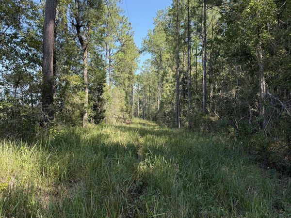 60 Acres Firth Littlefield Road, Lucedale, MS 39452