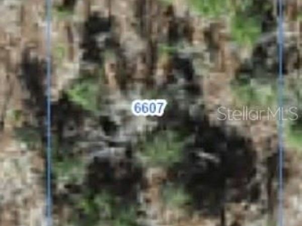 6607 N BEDSTROW BOULEVARD , CITRUS SPRINGS, FL 34434