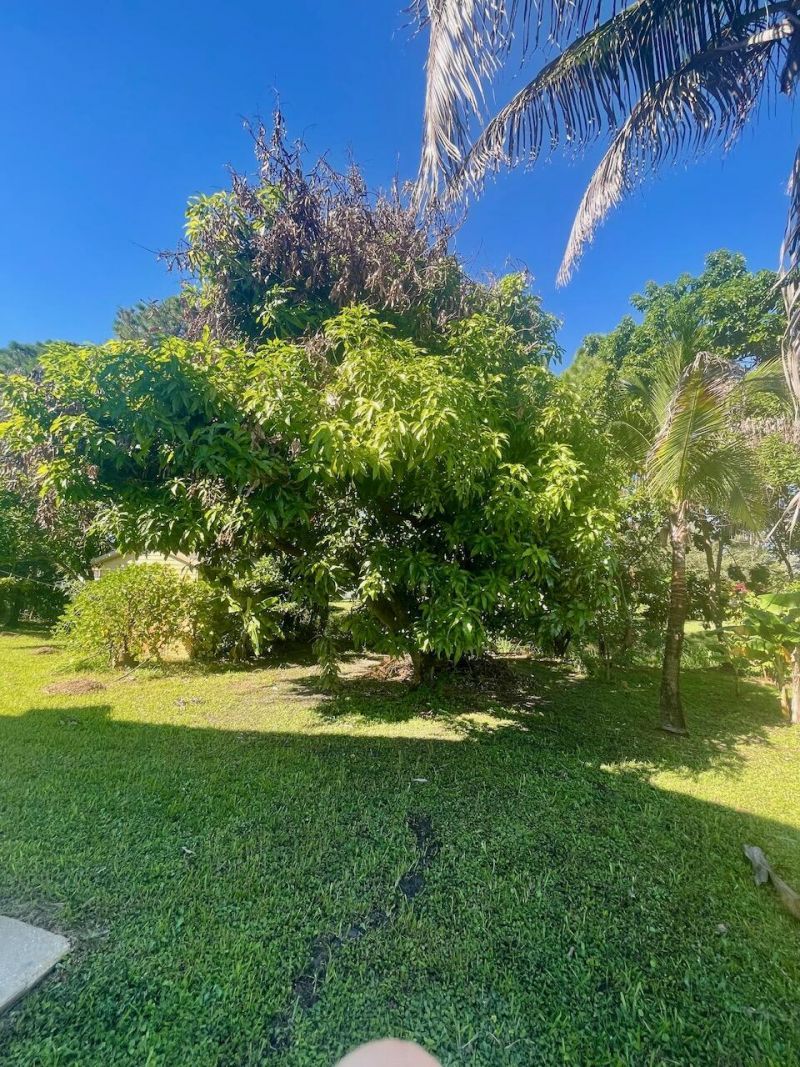 2086 SW Savage Boulevard, Port Saint Lucie, FL 34953 Photo
