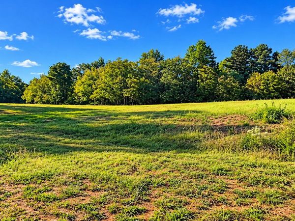 8005 Grand Meadow Run, Gainesville, GA 30506