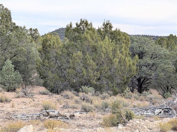 Lot 1-B Side Hill Pass , Pioche, NV 89043