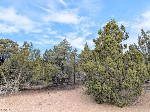 Lot 1-A Side Hill Pass, Pioche, NV 89043