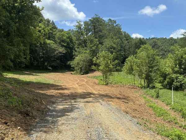 0 Bogard Rd , Unit 35837225-8, Cosby, TN 37722