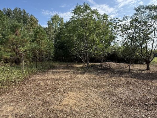 0 S Bartow Road, Bartow, GA 30413