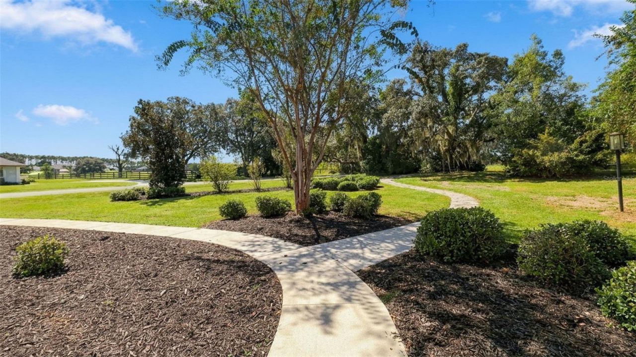 1815 E Allegrie Drive, Inverness, FL 34453 Photo