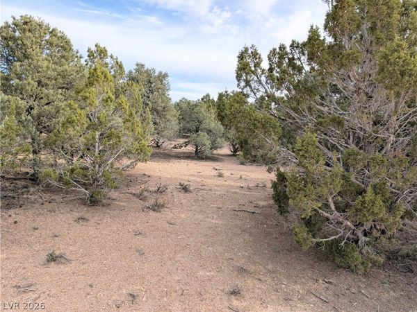 Lot 1-C Side Hill Pass , Pioche, NV 89043