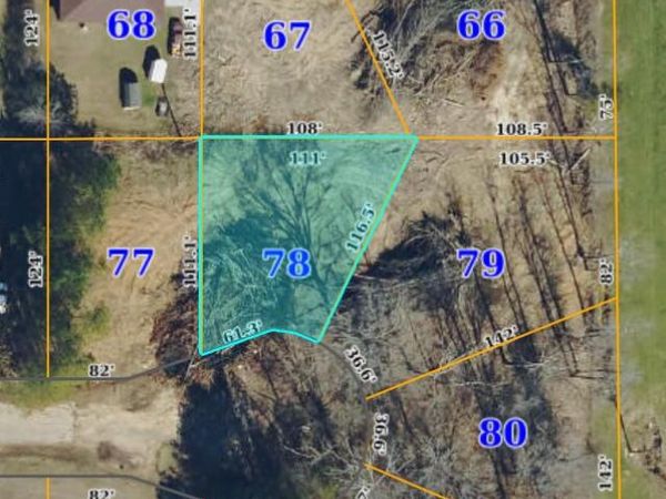 LOT 78 LOT 78, Doris St., Verona, MS 38801