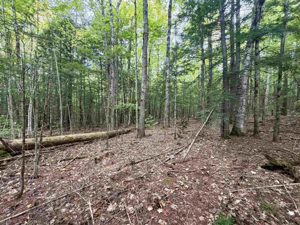Windmill Road, Unit Lot 3, Campton, NH 03223