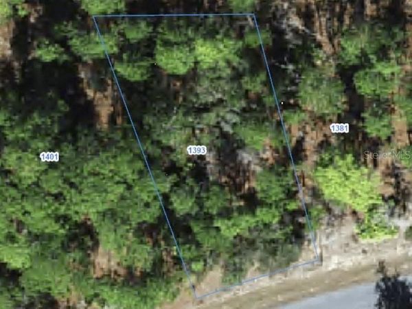 1393 W RILEY DRIVE , CITRUS SPRINGS, FL 34434