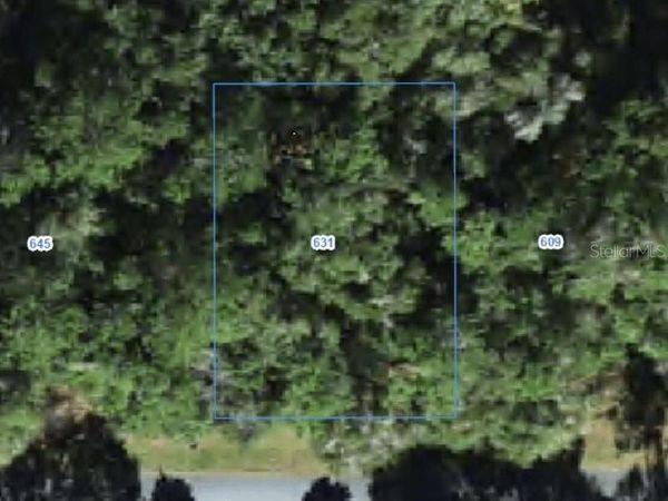 631 W GRAPEWOOD LANE , CITRUS SPRINGS, FL 34434