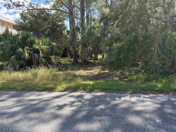 33 Blue Heron Way , Panacea, FL 32346