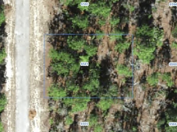 6581 N WINLOCK TERRACE , CITRUS SPRINGS, FL 34433