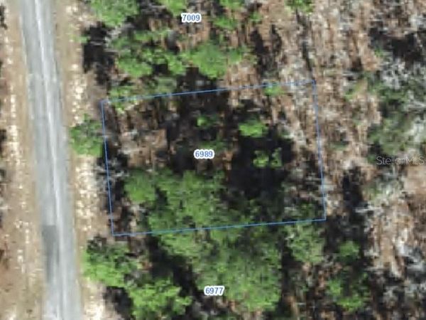 6989 N FOXDALE DRIVE , CITRUS SPRINGS, FL 34434