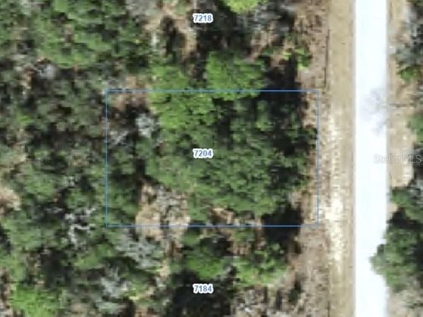 7204 N RIPLEY DRIVE , CITRUS SPRINGS, FL 34433