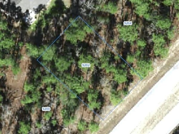 9202 N CITRUS SPRINGS BOULEVARD , CITRUS SPRINGS, FL 34433