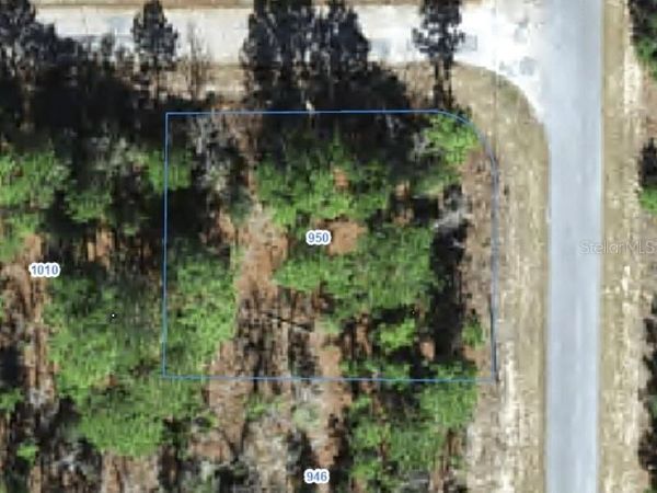 950 W CARY DRIVE , CITRUS SPRINGS, FL 34434